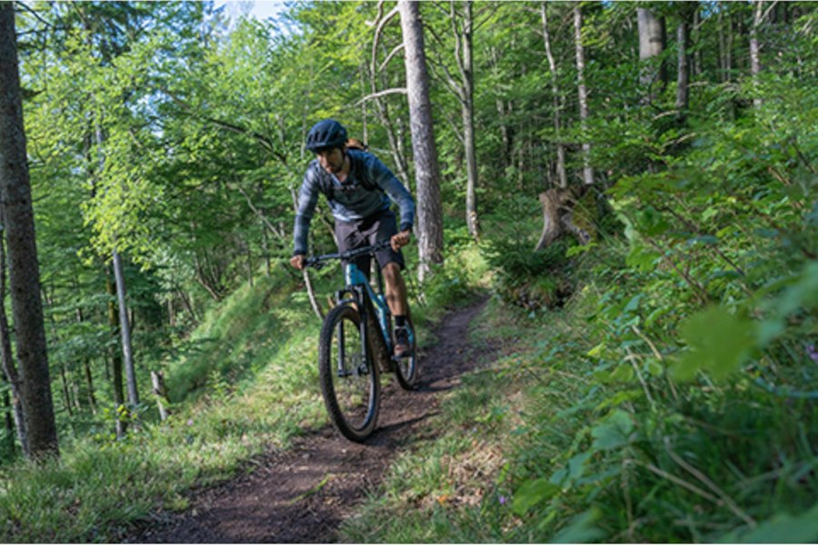 Rider on a wooded trail