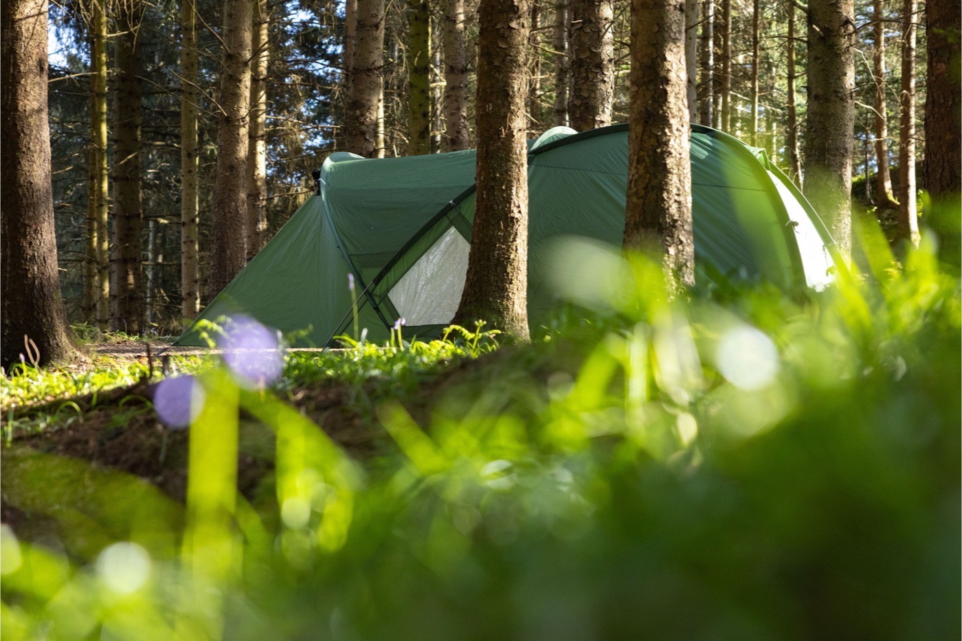 Alpkit Axiom product photograph, view 2